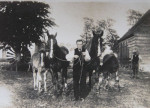 Activiteiten op de Molenhoeve 