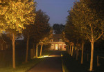Nieuwlandsedijk 1 en 3, Sommelsdijk, Akkerlust, fam. L. van der Velde. 